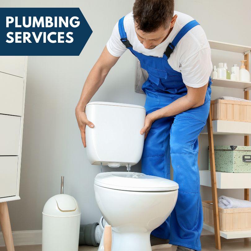 Plumbing Company in Baylis, IL